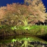 ライトアップ　LED　屋外工事